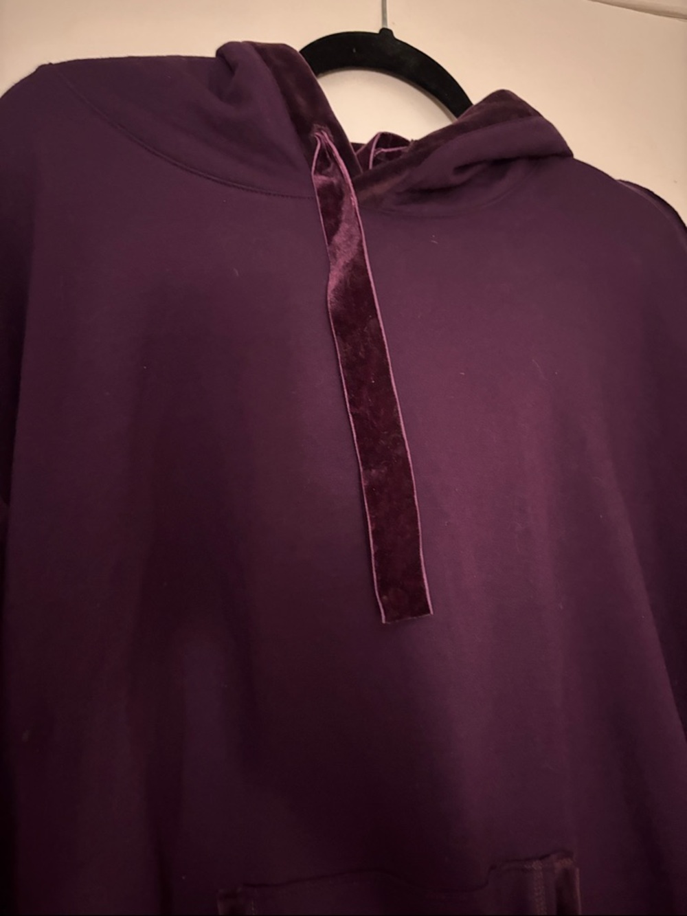 Democracy plum velvet trimmed Hooded Sweatshirt